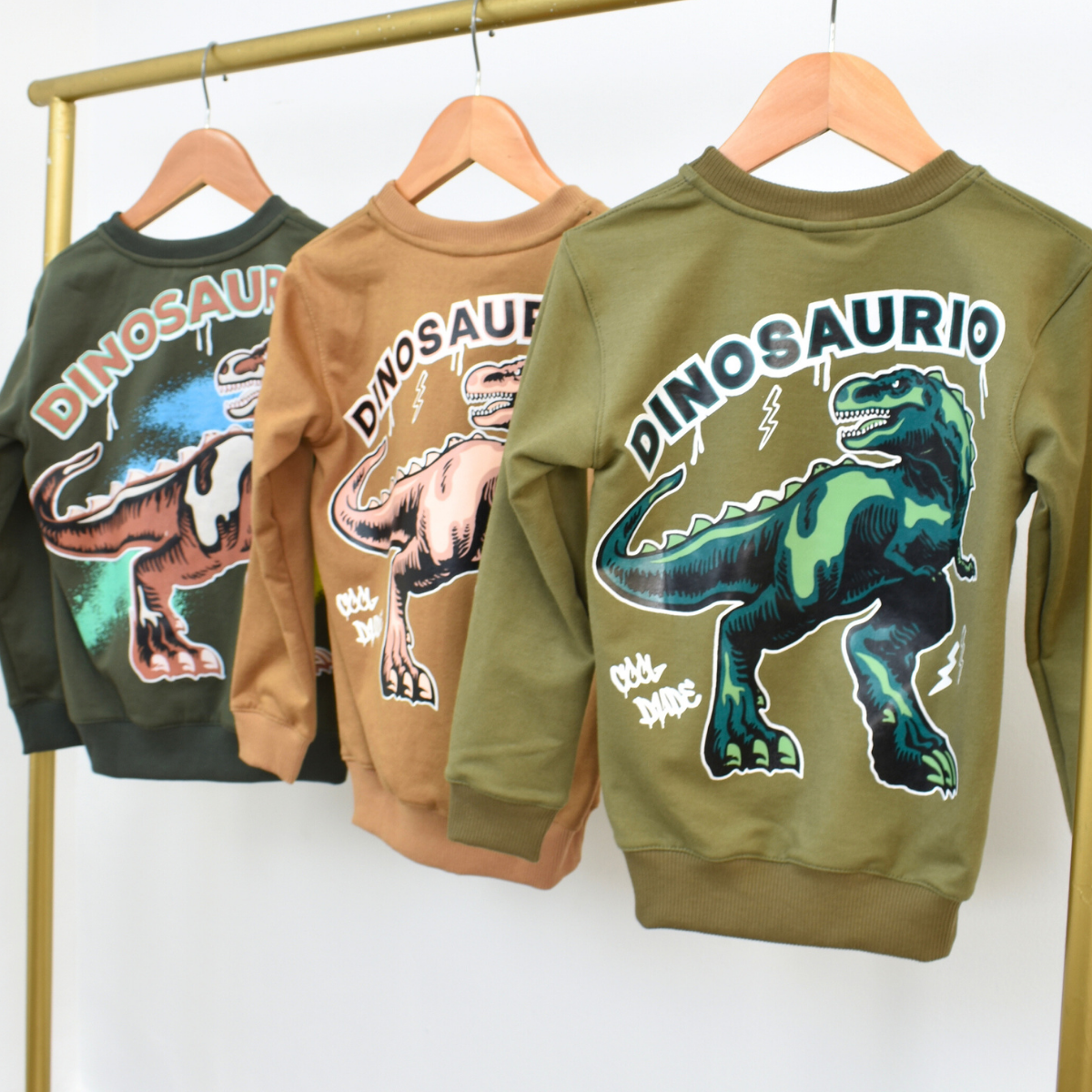 Conjunto Sudadera Dinosaurio