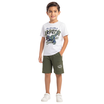 Conjunto de Dinosaurio