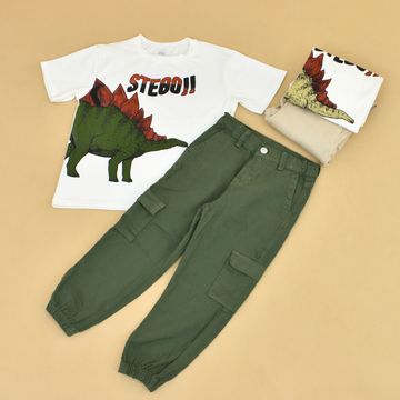 Conjunto Dinosaurio